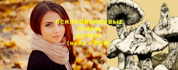прущие крисы Белокуриха