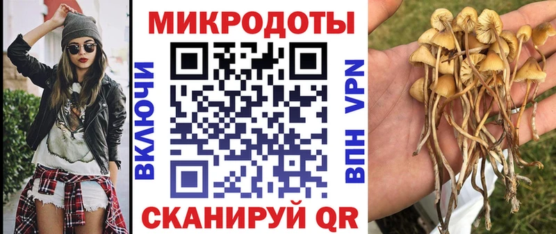 Галлюциногенные грибы прущие грибы  Купить  Туймазы 